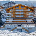 Cor Des Alpes 16 By Interhome Nendaz