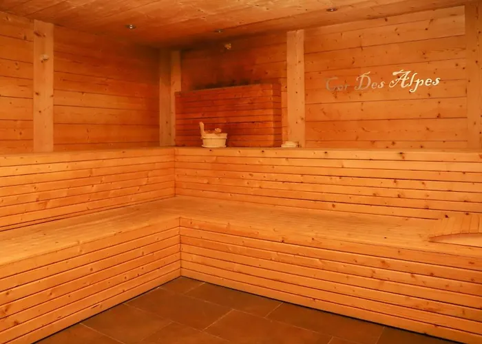 Cor Des Alpes 16 By Interhome *